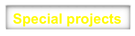  Special projects 