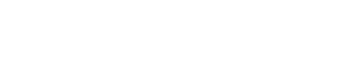 Highlights and Experience